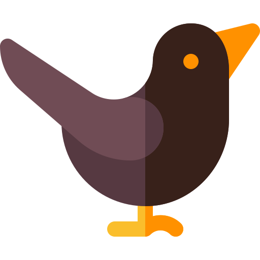 oiseau coucou dessiné
