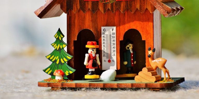 zoom sur un chalet météo